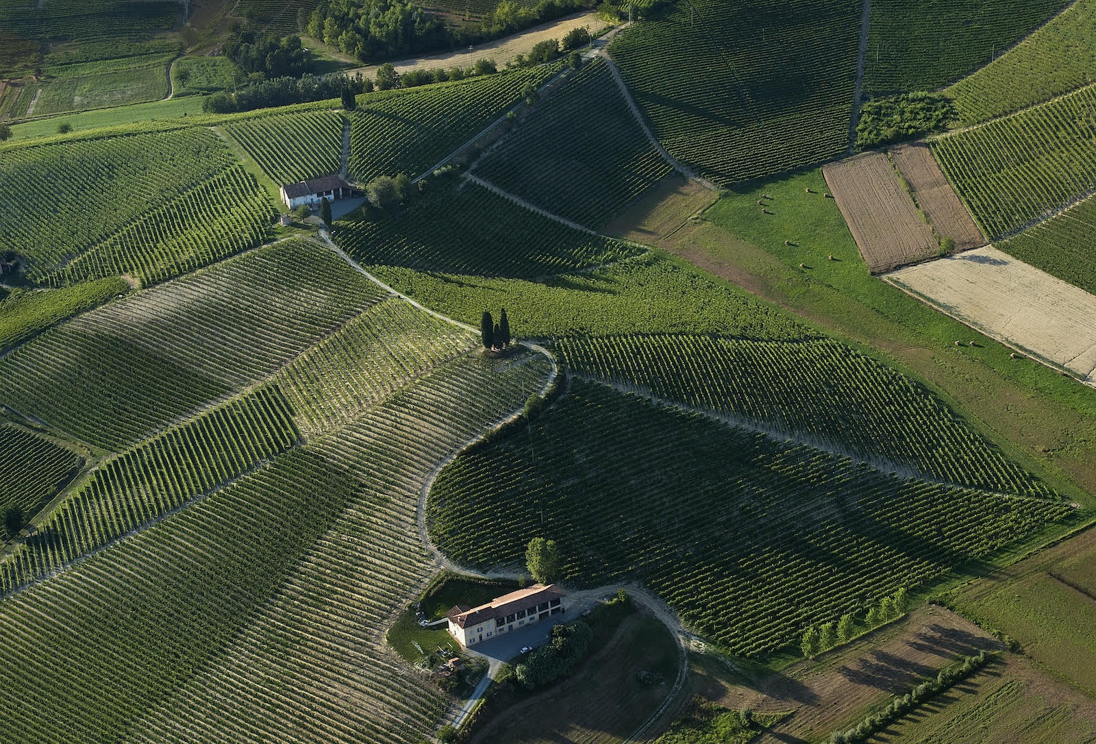 Nizza: Barbera's Crescendo Quietly Continues